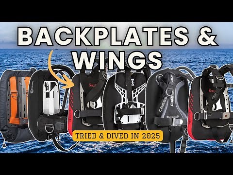 Best Backplate and Wings - Which BPW Setup is the Best?