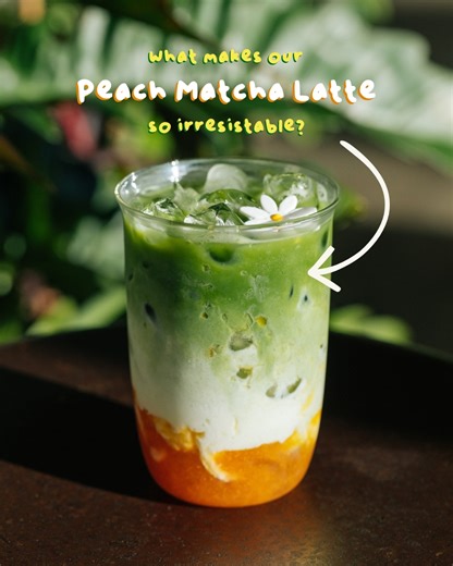 SIPHOUSE - Seattle Vietnamese Coffee Shop on Instagram: "Where matcha, milk, and peach come together to create the most irresistible combination of flavors 💚"