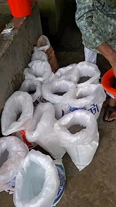 8.5K views · 65 reactions | Fish | Unity Farm | Facebook