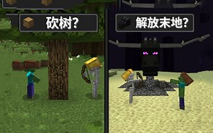 【中英字幕】极限模式玩家死后的 Minecraft 世界
