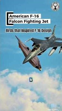 Peregrine Falcon – The Fastest Animal on Earth | 390 km/h Stoop Dive #falcon #falcons #falconry