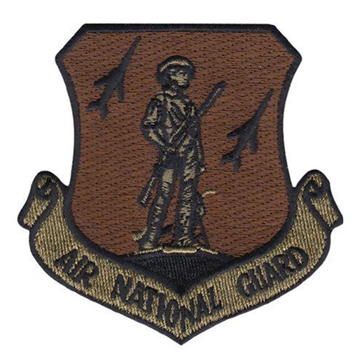 ANG OCP Patch Embroidery - Air National Guard Scorpion W2 Embroidered Military Patch - Etsy