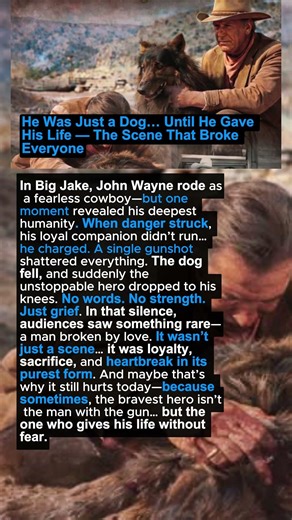 He Was Just a Dog… Until He Gave His Life — The Scene That Broke Everyone 😭 #shorts