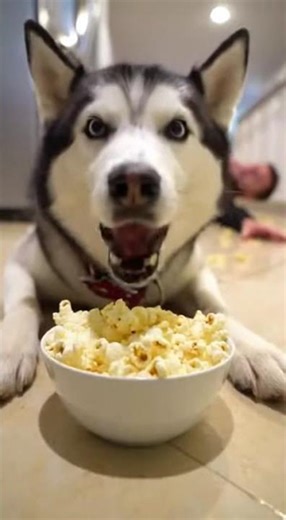 A slippery kitchen floor covered in banana slices.