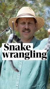 18K views · 126 reactions | With a reported boom in people becoming...