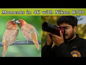 Moments of the Month Shot on Nikon Coolpix B700 4K 30fps | Bird parenting moments