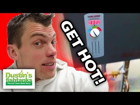 Aquarium Water Changes - How to Use an INLINE Water Heater for Your Aquarium