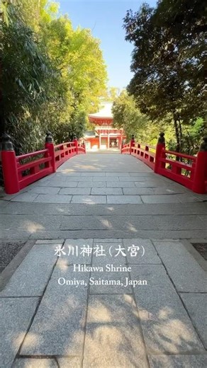 氷川神社(埼玉県・大宮) #HikawaShrine #Omiya #Saitama #Japan #氷川神社 #旅行