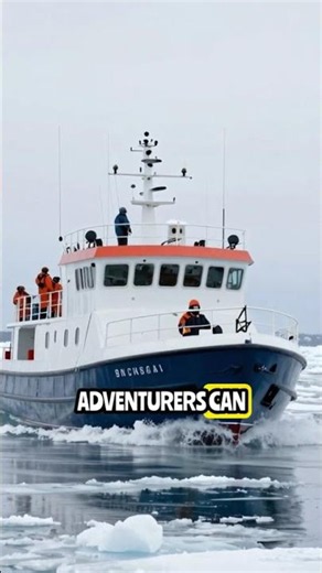Journey Through Iceberg Alley: Nature's Wonders