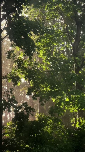 Sunny Rainy Day: A Unique Weather Phenomenon