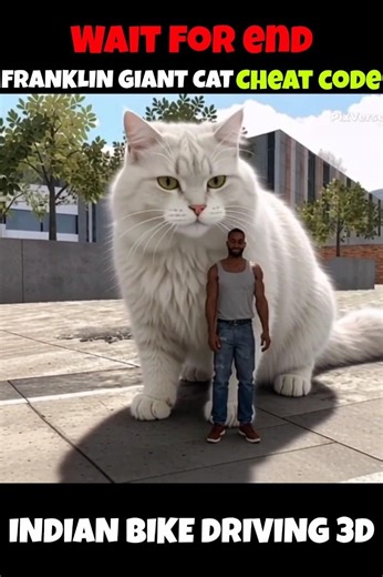 FRANKLIN GIANT CAT Cheat Code 😱 | Indian Bikes Driving 3d New short 🎉 | #shorts#indianbikesdriving3d