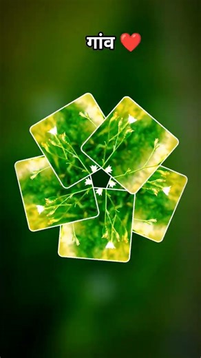 farming reels ❤️ #song #farming #khetibadi #dailyshorts #virulshorts