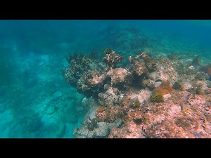 Memories Jibacoa (Cuba) April 2023 in 4k