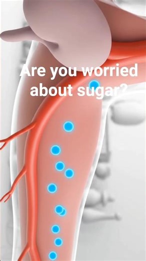 What is Diabetes? | Blood Sugar Explained🌿