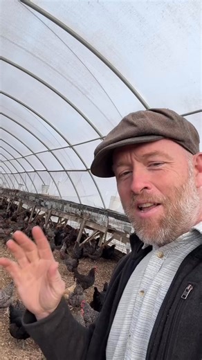 Chickens and rabbits work together in the racken house (winter edition) - In a greenhouse - On deep bedding (wood chips)- Rabbits above, manuring below- Chickens below, spreading ma | justin hodeshow | Facebook