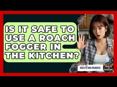 Is It Safe To Use A Roach Fogger In The Kitchen? - Insects and Invaders