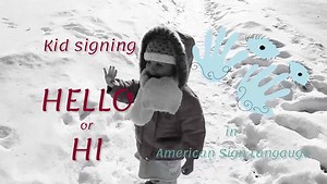 HI • ASL Dictionary