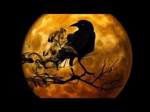 (No Copyright) Suspense Horror Background Music / Best Horror Music / Scary Music For Intro