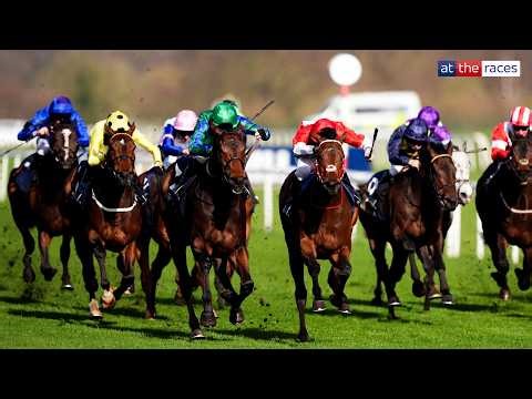 URBAN LION PREVAILS IN LINCOLN THRILLER! | The flat is officially BACK!