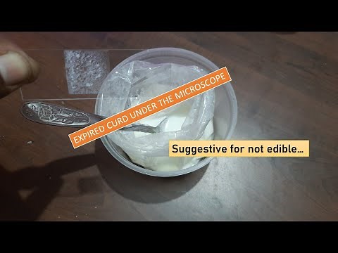 Old curd under the Microscope