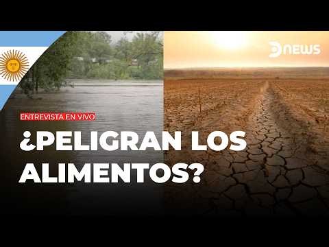 🚨 El Niño could be historic: Is Argentina prepared for what's coming? | DNews