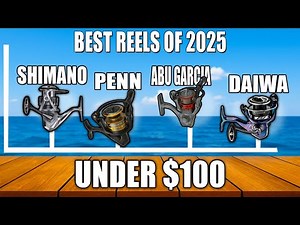 TOP 5 Best Spinning Reels Under $100 (2026)