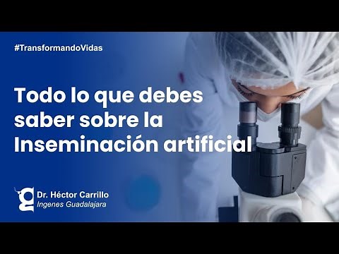 How is artificial insemination performed? | Ingenes