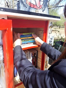Pop-Up Libraries Installed in  New Rochelle Parks