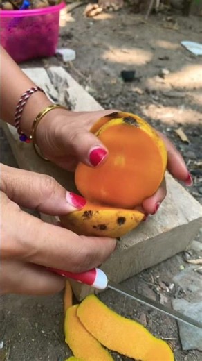 Mango Fruit #mango