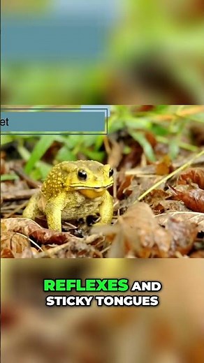 What Do Frogs REALLY Eat? The Hunter's Diet Revealed! #shorts