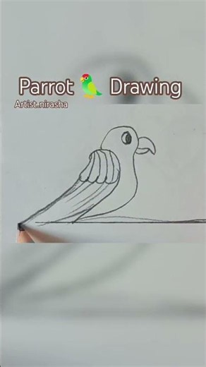 How To Draw A Parrot for kids |Flying Parrot Drawing Step By Step