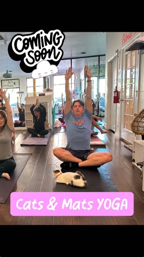 Start the year purring with our first Yoga with Cats session of 2026! 🧘‍♀️🐈 Come stretch, relax, and enjoy some feline affection. #YogaWithCats #CatYoga #RescueCats #AdoptDontShop Book On Our Website! | Feline Good Social Club