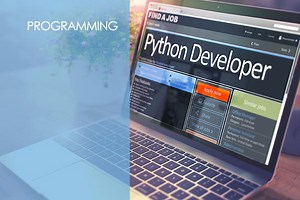Python Programming Course - ITU Online IT Training