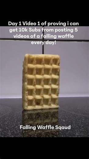 Day One Video 1 Of Falling Waffles #FallingWaffles