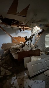 YOUR HELP NEEDED: We returned to our friends at Bountiful Farms today in Okahumpka, Florida (West Lake County). The produce farm, farm stand, outdoor bistro, and farmers' market suffered catastrophic damage from a suspected tornado during Hurricane Milton. An enormous tree fell on the family house and essentially pushed it forward off the foundation. The video below takes you inside to the bedroom where one of the limbs would have impaled a human sleeper if there had been one. Now the home needs
