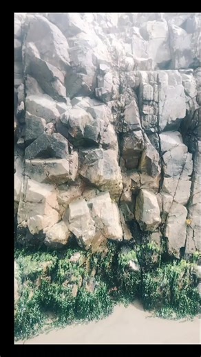 Patty Bobadilla on TikTok