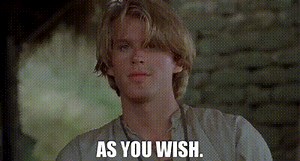 52a9ed8c-160f-4b2e-9e83-f3a212e91cf9