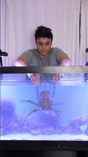 Building MASSIVE Fish Tank For My New Pet