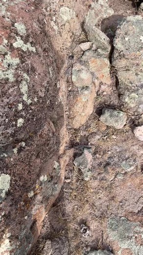 #fyp #contenido #parati #foryou