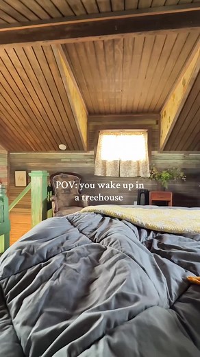 The Bird’s Nest: A Unique Treehouse Retreat