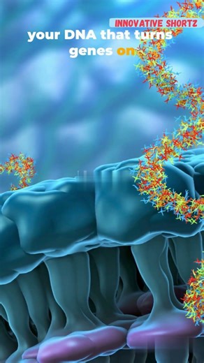 What is Epigenetics? (Your Genes Are NOT Your Destiny)