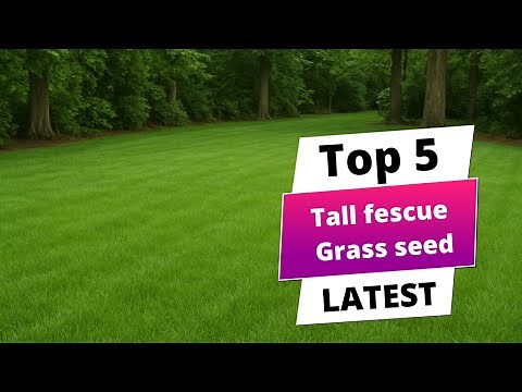 ✅ Best tall fescue grass seed: Tall fescue grass seed (Buying Guide)