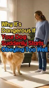 Why It’sDangerous IfYour Dog Suddenly Starts Obeying Too Well #dogbehavior #DogPsychology #Dog