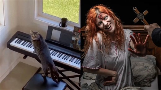 Cat Accidentally Plays Haunting Notes That Sound Like ‘Exorcism’