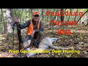 Paulding Forest WMA - public deer hunting