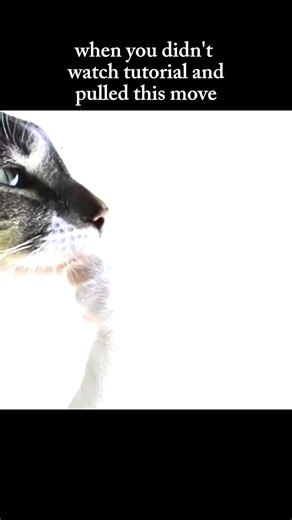 related #reelschallenge