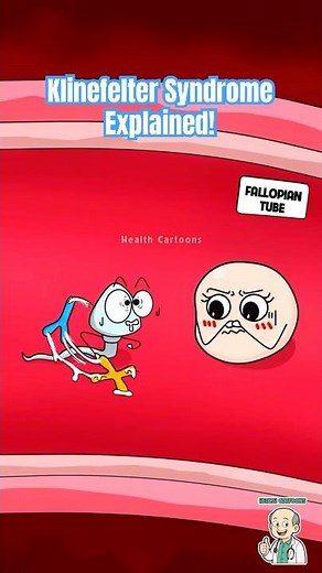 The XXY Anomaly: Klinefelter Syndrome Explained! #health #animation
