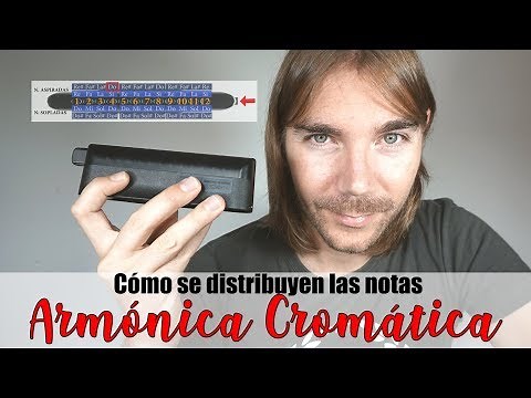 ARMÓNICA CROMÁTICA 👨🏻‍🎓 ¿Cómo se distribuyen las notas? ⌨️ TUTORIAL ONLINE
