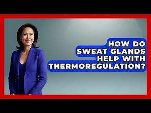 How Do Sweat Glands Help With Thermoregulation? - All About Anatomy Answers