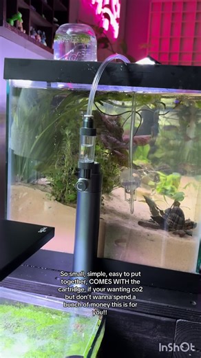 Affordable CO2 Setup for Your Aquarium